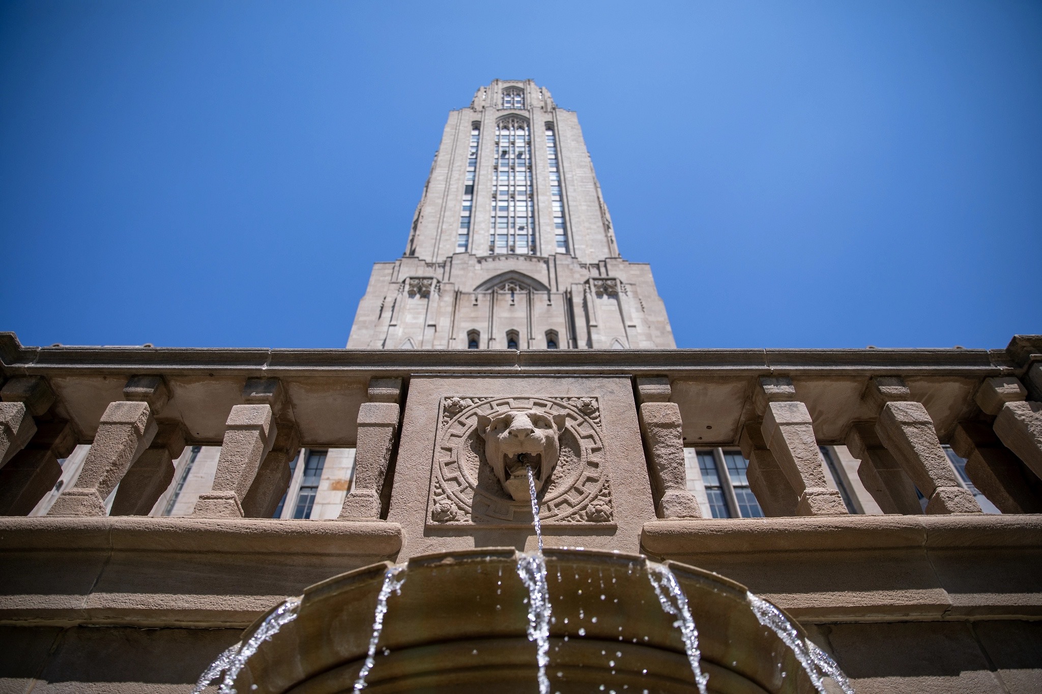 does university of pittsburgh require essay